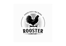 Rooster Vintage Logo Design. Chicken Logo