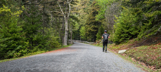 Man walking on stone road in forest 