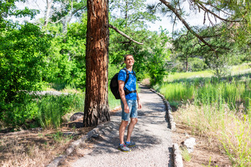 Wall Mural - scenery of tree and path with man hiking at main loop trail in bandelier national monument in new me
