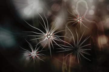 Poster - 3d illustration neuron