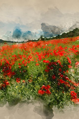 Canvas Print - Digital watercolour painting of Stunning poppy field landscape under Summer sunset sky