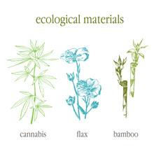 Eco Cannabis, Bamboo And Flax Leaves Vector Hand Drawn Set. 100 Per Cent Eco. Botanical Sketch In Vintage Engraved Style Of Ecological Plants. Go Green. No Plastic And Less Waste.