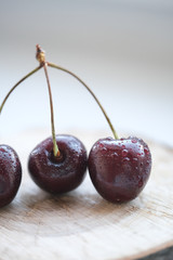 two cherries isolated on white