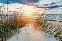 Grassy Dunes And The Baltic Sea At Sunset