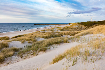 Wall Mural - Grassy dunes and the Baltic sea