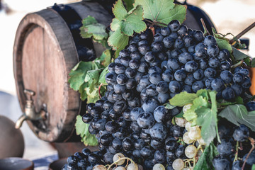 armenian black grape and wine