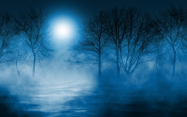 Poster - Empty dark background. The glow of the moon in the forest, moonlight through the trees in the forest. The reflection of moonlight in the water