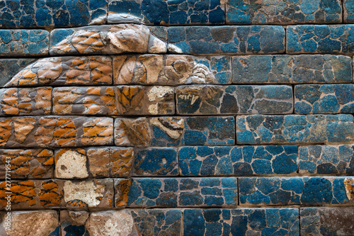 Foto-Schiebegardine mit Schienensystem - ancient lion relief (von Yury Zap)