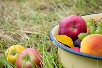 Wall Mural - Fruits on the grass