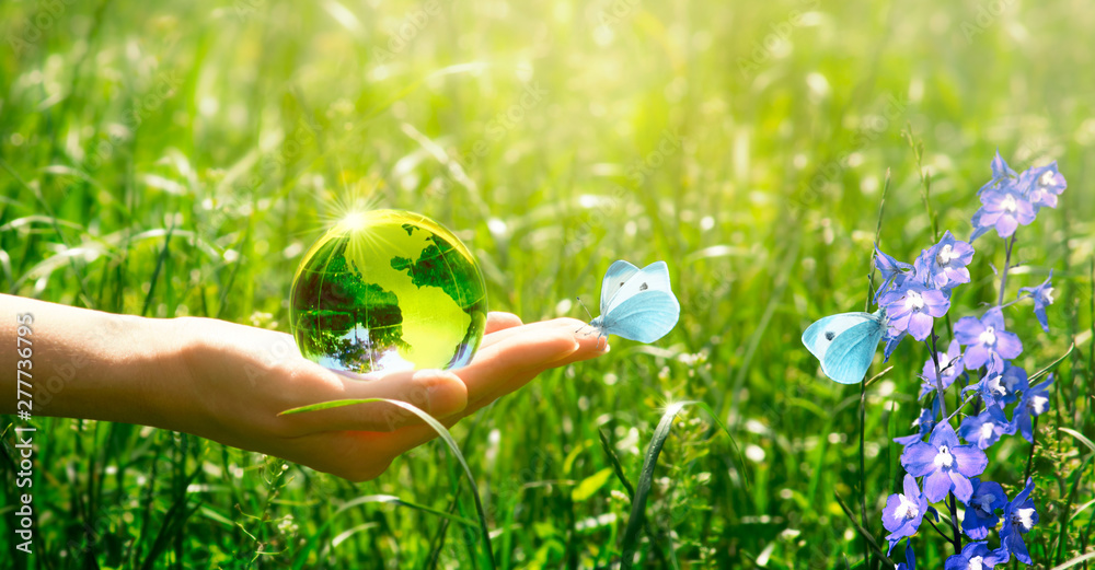 Earth crystal glass globe and butterfly with blue wings in human hand on grass and bluebell flowers background. Saving environment and clean green planet concept. Card for World Earth Day concept. - obrazy, fototapety, plakaty 