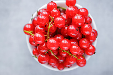 Fresh red currants in a white bowl on a gray background. Top view.