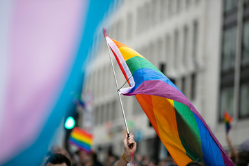 Wall Mural - Gay pride, LGBTQ rainbow flags being waved in the air at a pride event