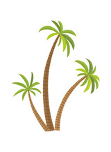 Vector Illustration Palm Tree Isolated On White Background. Coconut Tree. Palm Tree. Tourism, Travel Symbol, Sign.