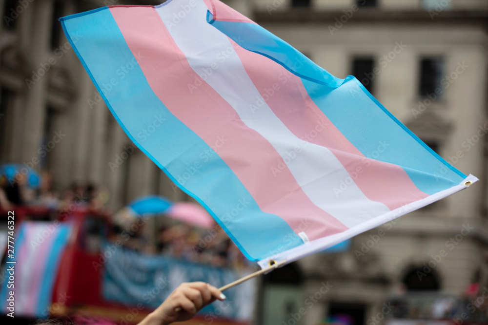 A transgender flag being waved at LGBT gay pride march - obrazy, fototapety, plakaty 