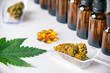 Assorted cannabis products including cannabis tincture or CBD oil, dried nugs and capsules
