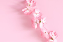 Beautiful Flowers Composition. Pink Flowers On Light Pink Pastel Background. Flat Lay, Top View, Copy Space