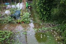 Organic Country Garden Allotment Landscape Flooded By Heavy Rainfall Stormy Weather Pools Lakes Of Water Around The Raised Beds And Vegetables  Plants Bamboo Sticks Trees And Garden Tools Wheelbarrow