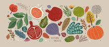 Vector Illustrations Of Autumn Objects: Fruits And Vegetables, Harvest, Trees, Leaves, Plants, Pumpkin, Pomegranates, Figs And Nuts. Cute Freehand Drawings To Create A Poster Or Card.