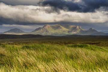 the moine path is an old route from the kyle of tongue to the head of loch hope. it crosses the high