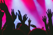 © kondrukhov - Hands of the crowd raised up at music concert