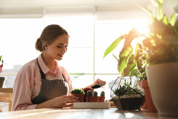 Poster - Young beautiful woman taking care of home plants at wooden table indoors