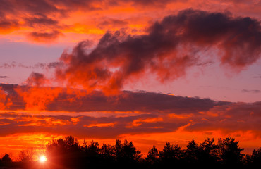 Fiery orange sunset  colorful and speckled  clouds.