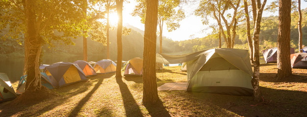 Wall Mural - tents in pine parks