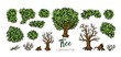 Landscape trees constructor set. Trees, leaves and branches elements for design