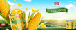 Premium kernel corn can banner