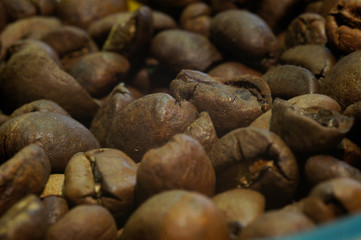 roasted brown coffee beans close-up shot