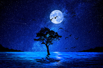 Wall Mural - night tree on lake and moon in the background