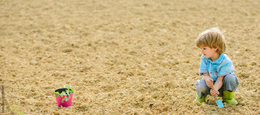 Child having fun with little shovel and plant in pot. Planting in field ...