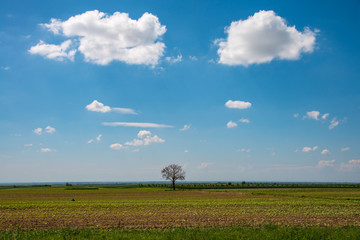 Spring is coming, and with it beautiful clouds 