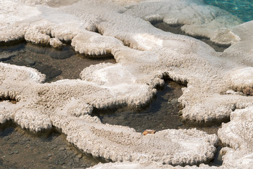 Geyser and hot spring in old faithful basin in Yellowstone National Park in Wyoming