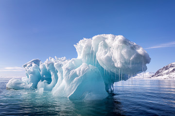 Wall Mural - blue ice iceberg floating in the arctic waters of svalbard