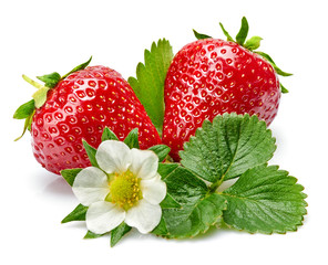 Wall Mural - Strawberries with green leaf and flowers, isolated on white background.