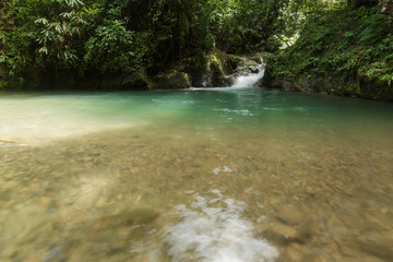 Ton Dang Fa,in the forest tropical zone ,national park Takua pa Phang Nga Thailand