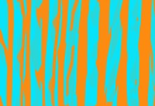 Light Blue And Orange Zebra Pattern