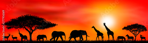 Cuadros en Lienzo Savanna animals on a background of a sunset sun