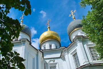 Wall Mural - Beautiful orthodox church surrounded by trees