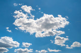 Fototapeta  - Cloudy blue sky. Blue sky and big clouds in windy summer weather.