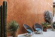 © Cavan Images - outdoor patio space with two empty chairs and potted cacti