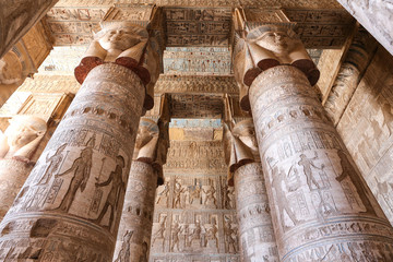 Wall Mural - Columns in Denderah Temple, Qena, Egypt