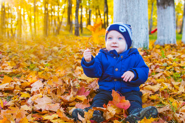 baby in autumn leaves