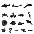 Vector illustration of sea and animal sign. Set of sea and marine vector icon for stock.