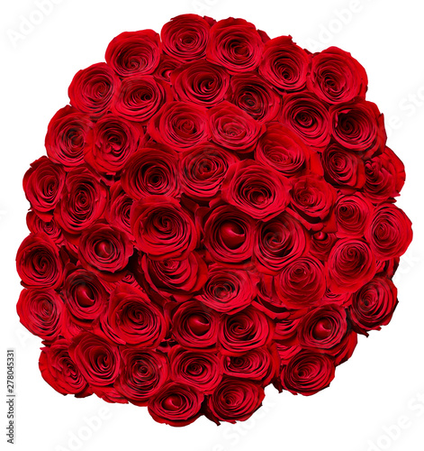 flower rose petal blossom red nature beautiful background