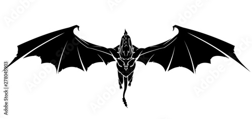 Dragon Front Glide Fototapeta