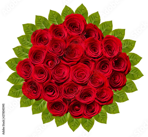 flower rose petal blossom red nature beautiful background