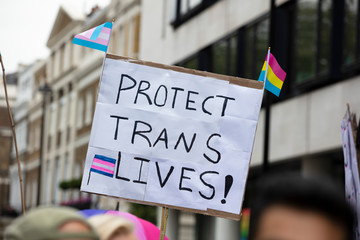 Wall Mural - A person holding a sign reading protect trans lives banner