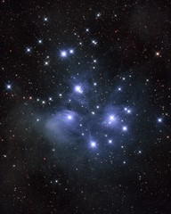 Wall Mural - m45 pleiades